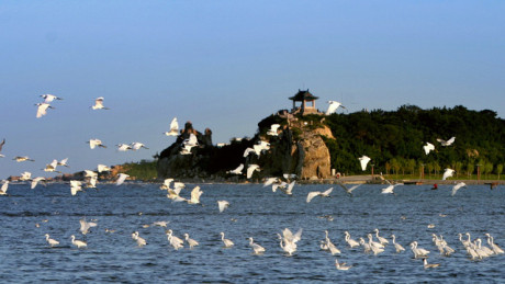 北戴河