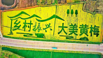 袁夫稻田
