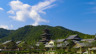 问梅村
