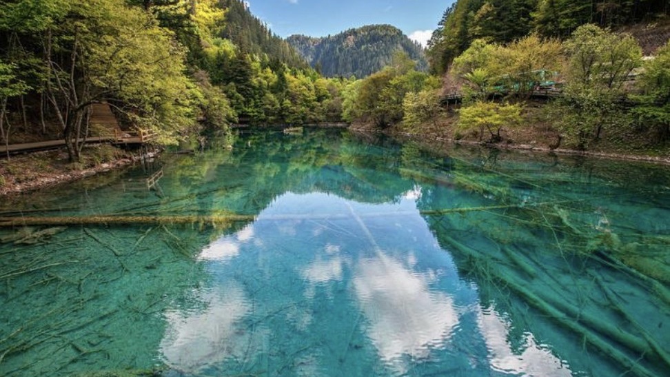 【四川】全景四川十堰起止纯玩双卧8日游