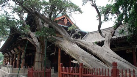 晋祠