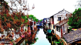 水乡乌镇