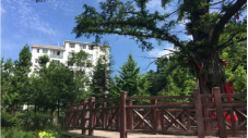 【避暑】恩施利川苏马荡避暑康养10日游