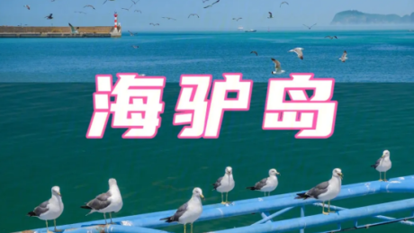 海驴岛