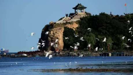 北戴河