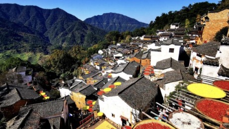 篁岭