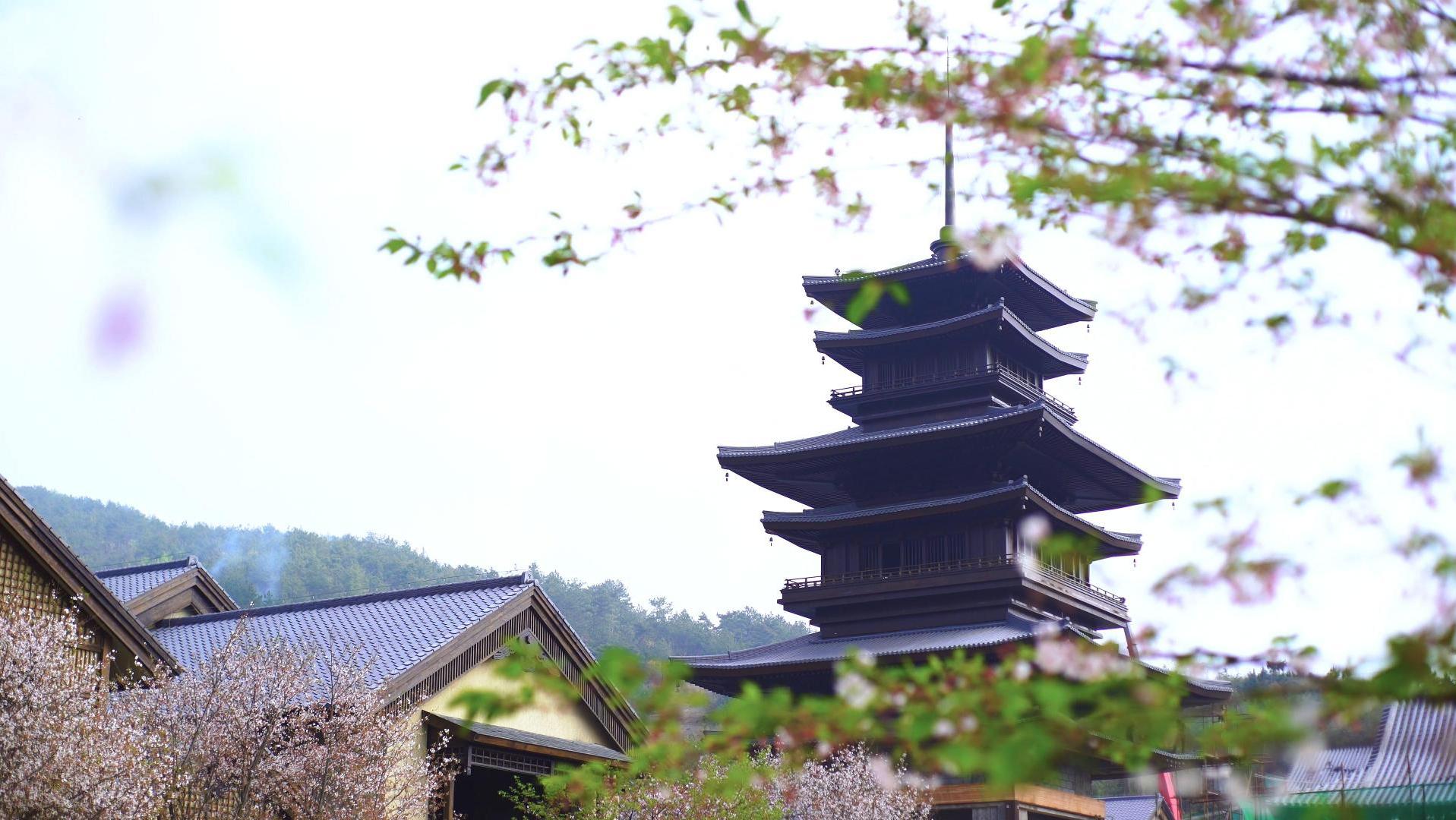 【黄梅】蔡山梅苑+问梅村纯玩一日游