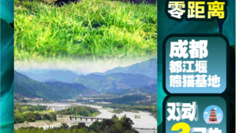 熊猫零距离