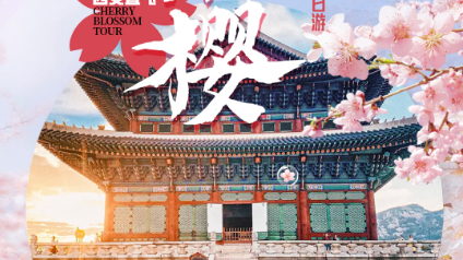 落樱首尔一地6天